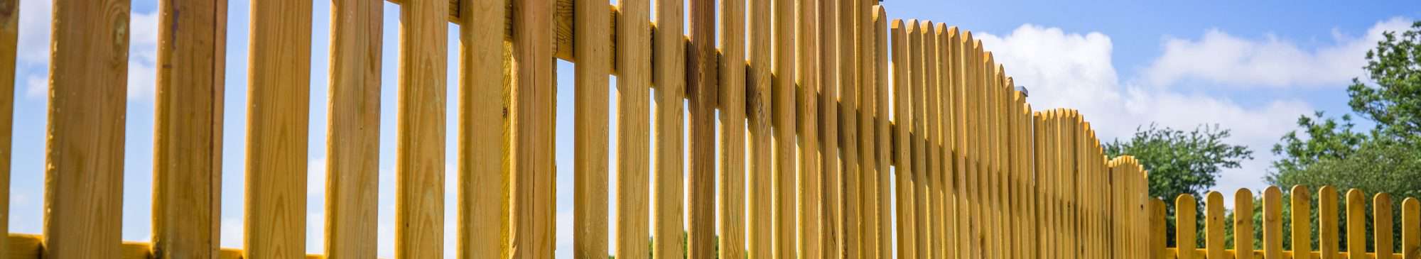 גדר עץ אורן