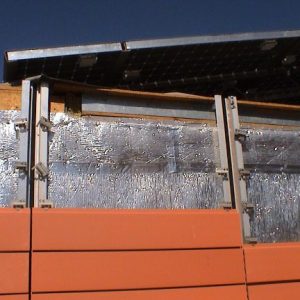 בידוד פולינום ברייר